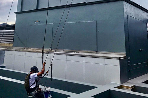 Painter abseiling down high rise from roof | McAuliffe Painting